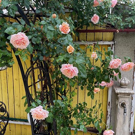 Luxurious Villa With Lush Garden And Huge Terrace Near Herastrau Park Bucureşti Eksteriør bilde
